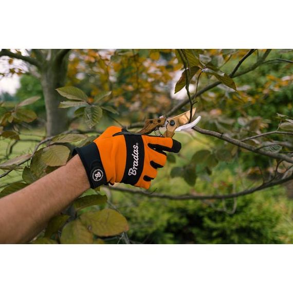 Секатор обвідний Bradas V-SERIES сталь SK5 KT-V1036 | Зображення 1