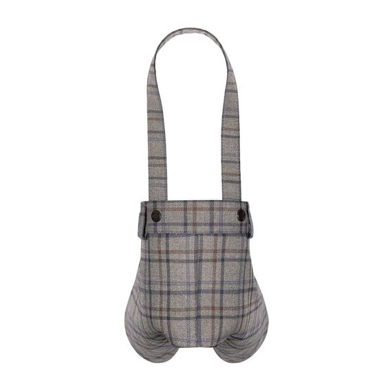 Брюки Pet Fashion Leon для собак XS