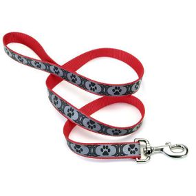 Coastal Lazer Brite Reflective Leash костал лазер брайт светоотражаючий повідок для собак, 1.6смХ1.2м