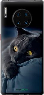 Чохол на Huawei Mate 30 Pro Димчастий кіт "825u-1796-2448"