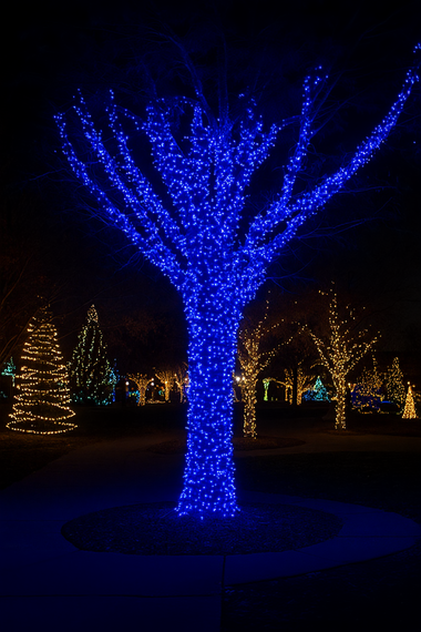 Гірлянда Різдвяна фея вулична 100 м 1000 LED білий провід Синій CF1000L100MWBL | Зображення 8