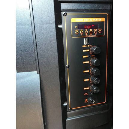 Портативная колонка XPRO GZ-W1312 чемодан  30Вт, USB, SD, FM радио, Bluetooth, 1 микрофон, ДУ (MER-15680) | Зображення 2