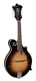 Мандоліна Richwood RMF-60-VS