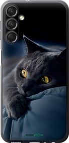 Чохол на Samsung Galaxy A24 A245F Димчастий кіт "825u-3020-2448"