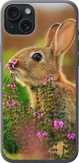 Чохол для Apple iPhone 15 Plus з силікону FCh_060225