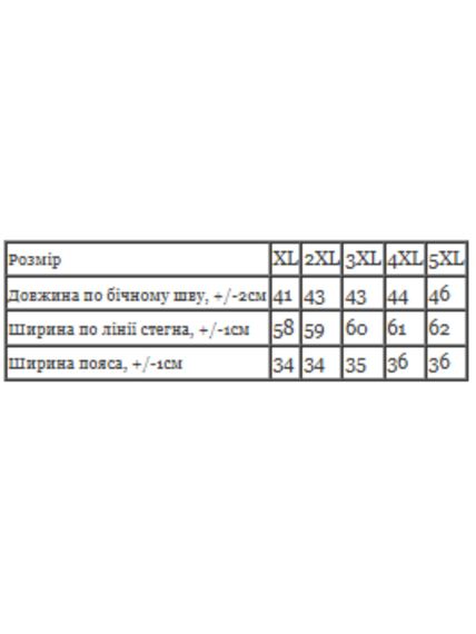 Шорти чоловічі Носи своє XXL Синій (p-16998-197268) | Зображення 2