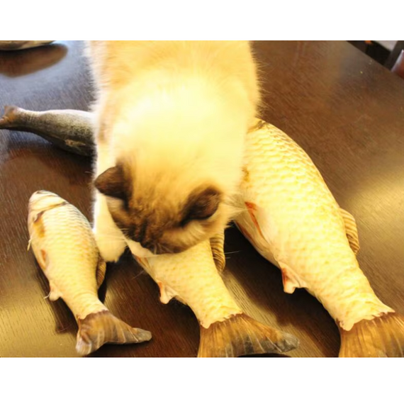 М'яка 3д іграшка подушка Риба Карась золотистий 71 см, креативна іграшка для ігор і сну | Зображення 6