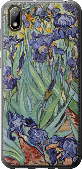 Чехол на Huawei Y5 2019 Винсент Ван Гог. Ирисы "161u-1695-17620"