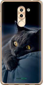 Чохол на Huawei GR5 2017 Димчастий кіт "825u-473-2448"