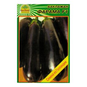 Насіння баклажана Фарама F1 10 шт. (Tezier)