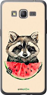 Чохол на Samsung Galaxy J2 Prime Єнотик з кавуном "4605t-466-2448"