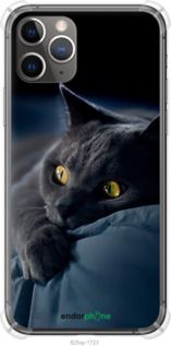 Чохол на iPhone 11 Pro Max Димчастий кіт "825sp-1723-2448"