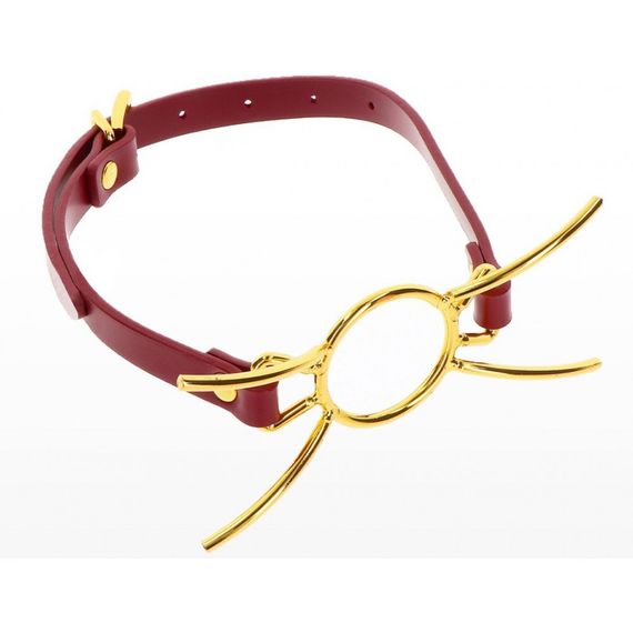 Кляп з кільцем Taboom Open Mouth Spider Gag sexstyle | Зображення 1