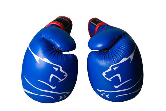 Боксерські рукавиці PowerPlay 3018 Jaguar Сині 14 унцій | Зображення 3