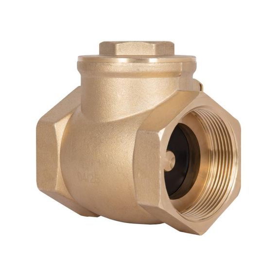 Зворотний клапан Thermo Alliance Standart 2" SD242W50 | Зображення 3