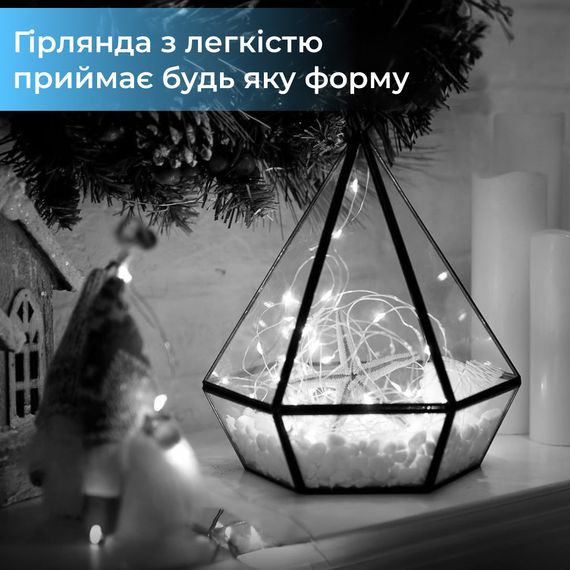 Гирлянда светодиодная конский хвост GarlandoPro 200LED Роса 2м 10 линий Белый 1733011W | Зображення 3