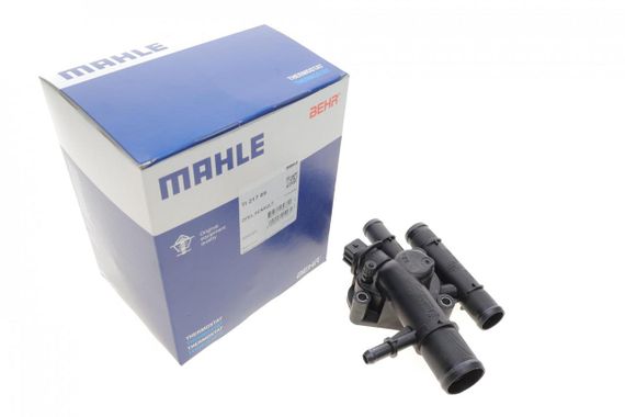 Термостат Renault Trafic 1.9DCI 89°  TI 217 89