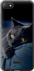 Чохол на Xiaomi Redmi 6A Димчастий кіт "825u-1531-2448"