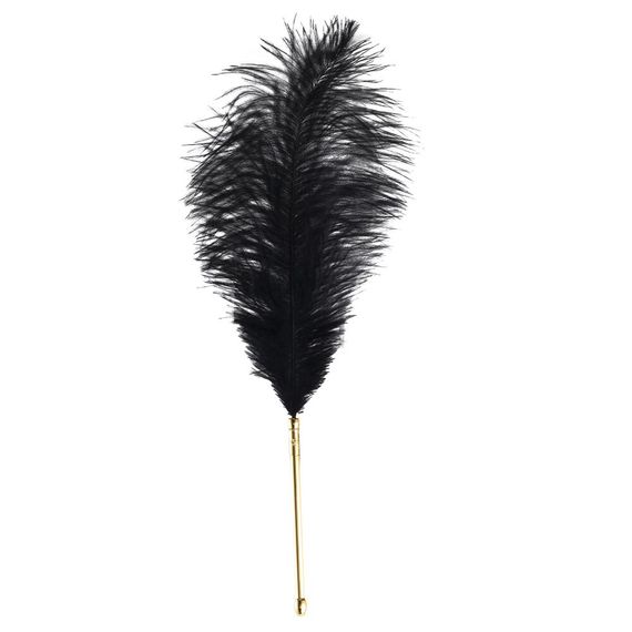 Лоскітка LOCKINK SEVANDA Natural Peacock Flirting Feather Tickler, пір’я павича та страуса | Зображення 2
