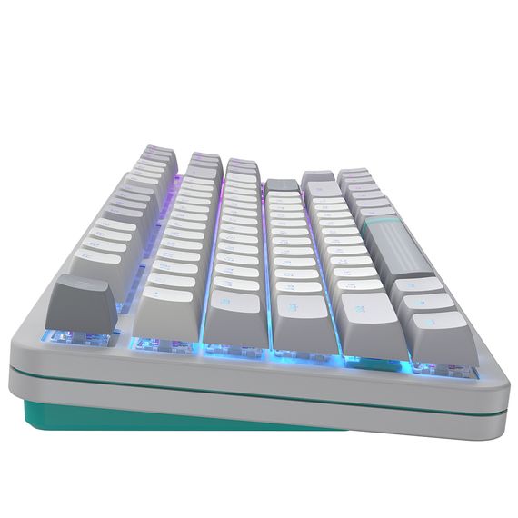 Клавіатура Dark Project ALU87 Daylight ABS RGB Mech G3MS Zircon White/Grey (DPKB_DAYLIGHT_87_ANSI_UA) | Зображення 6