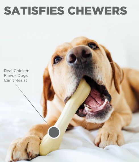 Игрушка для собак OutwardHound Petstages Chick A Bone, 20.5 см | Зображення 3