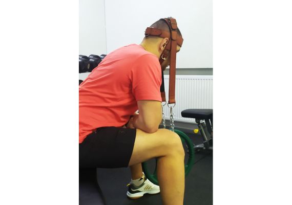 Упряж EasyFit BISON коричнева (шкіра) (EF-HLBSNBR) | Зображення 1