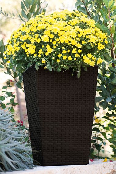 Горщик для квітів (кашпо) Keter (Кетер) Rattan Style Planter M (17192301) Коричневий | Зображення 3