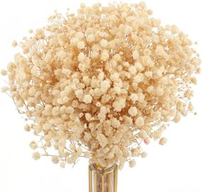 Букет із сухоцвітів гіпсоф Mehwag Baby's Breath, 100% натуральний, 17,2 дюйма, 3000+, кольору слонової