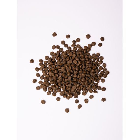 Корм сухий Savory Small Breeds rich in Fresh Lamb для дорослих вибагливих собак малих порід до 10 кг зі свіжим ягням 3 кг | Зображення 1