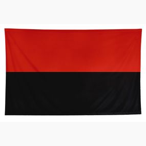 Прапор УПА з нейлону