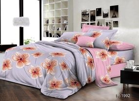 Комплект постільної білизни з компаньйоном R1992