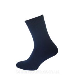 Шкарпетки махрові чоловічі зимові Twinsocks р.39-40 (25), 41-42 (27) сірі, сині Синій,