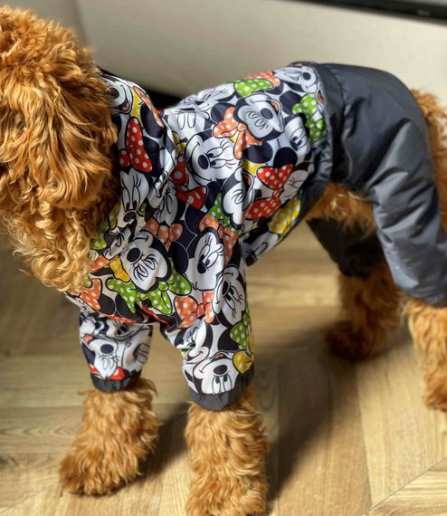 Дощовик Міккі M-89 | Зображення 1