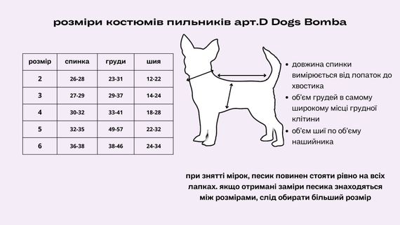Костюм пильник небесний D-116 | Зображення 2
