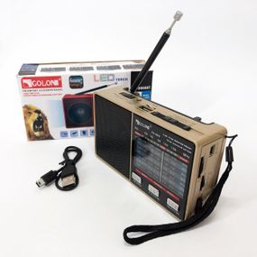Радио GOLON RX-8866 цифровой портативный радиоприемник с фонариком функцией PowerBank. Цвет: золотой