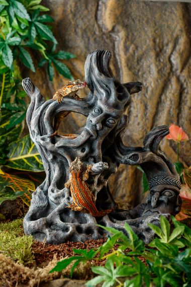 Декорация Tiki (3-in-1 убежище, поилка и миска) большая | Зображення 1