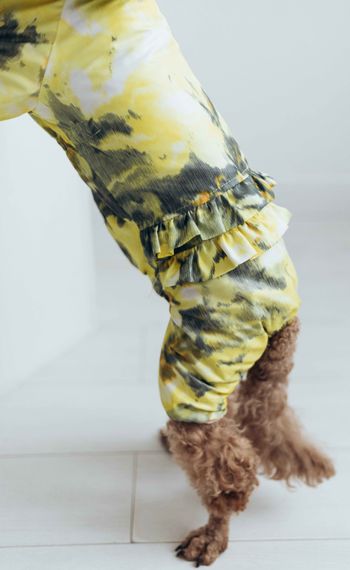 Дощовик ДЛЯ ДIВЧАТ рюша абстракцiя лимон MD-18 | Зображення 1