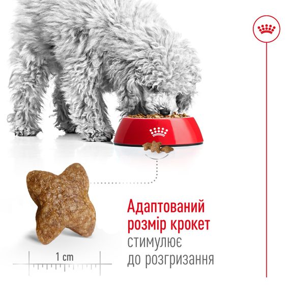 Корм Royal Canin Mini Adult сухой для собак мелких пород 8 кг | Зображення 2