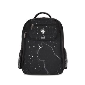 Рюкзак шкільний Bagland BL Відмінник 20 л. Чорний 1455 (00058070) (1123921615)