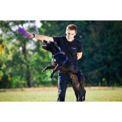 Игрушка для собак Puller Standard Тренировочный снаряд 28 см 2 шт (6490) | Зображення 1