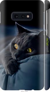 Чохол на Samsung Galaxy S10e Димчастий кіт "825m-1646-2448"