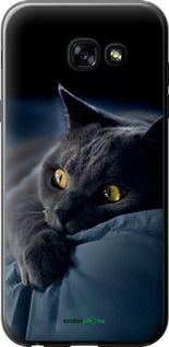 Чохол на Samsung Galaxy A5 (2017) Димчастий кіт "825u-444-2448"