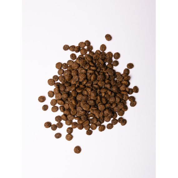 Корм сухий Savory Small Breed rich in Fresh Turkey and Lamb для дорослих собак малих порід зі свіжим ягням та індичкою 1 кг | Зображення 1