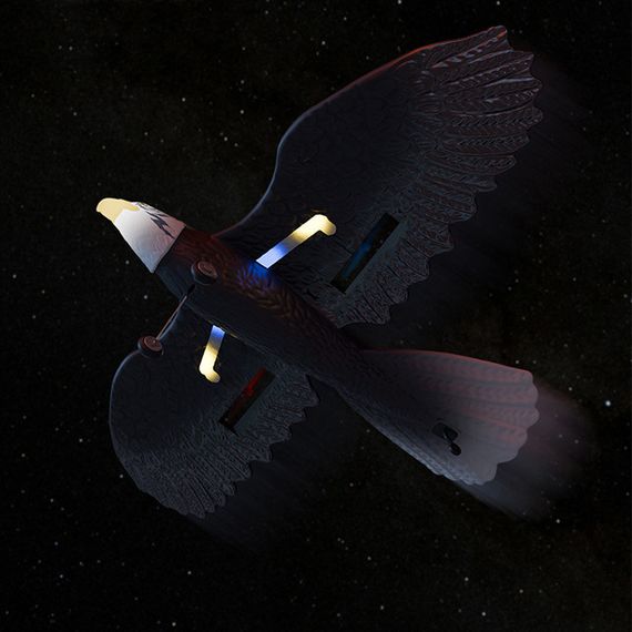 Літак-птица на радіокеруванні SCHE HW40 Eagle Black | Зображення 6