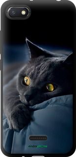 Чохол на Xiaomi Redmi 6A Димчастий кіт "825b-1531-2448"