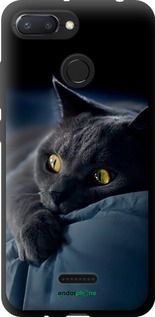Чохол на Xiaomi Redmi 6 Димчастий кіт "825b-1521-2448"