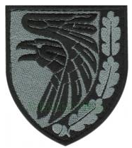 Шеврон 93 ОМБр Холодный Яр