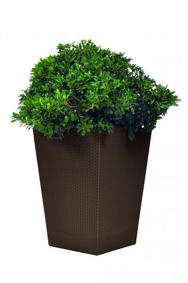 Горщик для квітів (кашпо) Keter (Кетер) Rattan Style Planter M (17192301) Коричневий | Зображення 4
