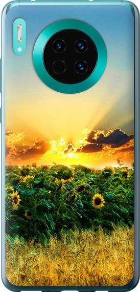 Чехол на Huawei Mate 30 Украина "1601u-1773-17620"