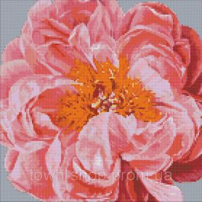 Алмазная мозаика "Pink kiss" ©Ira Volkova Идейка AMO7079 40х40 см